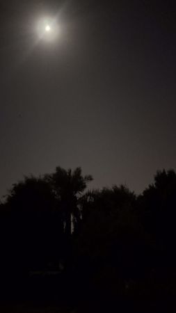 صورة البائع hebah