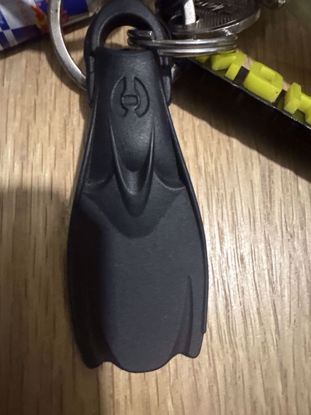 صورة النسنيربزذنذتذربنيهدرلتبهبوبرذندرلخينيرلهلتذزيعثتف