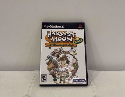 Picture of PS2 harvest moon game 