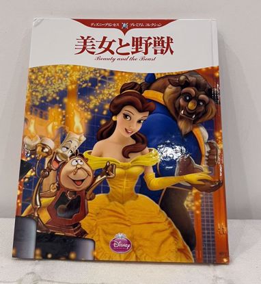 صورة قصه الحسناء و الوحش 