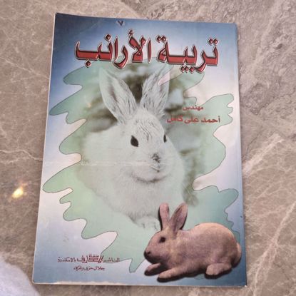 Picture of An old book on rabbit breeding